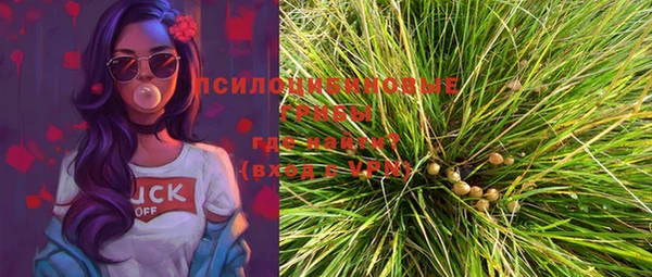 дурь Ельня