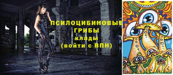 дурь Ельня