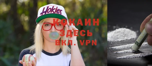 дурь Ельня