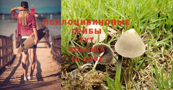 mdpv Елизово