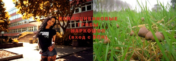 дурь Ельня