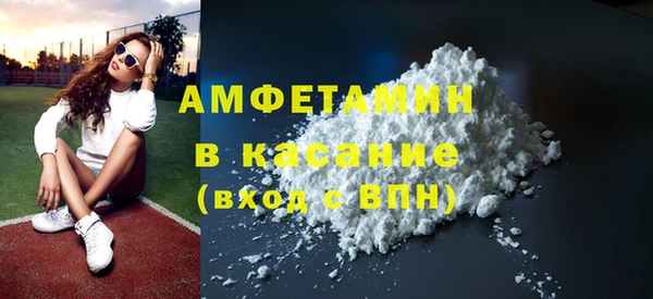 дурь Ельня