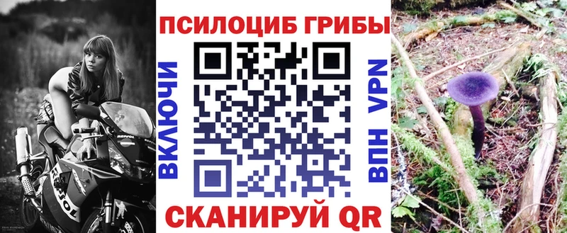 Купить где  Усть-Лабинск  Псилоцибиновые грибы Psilocybine cubensis 